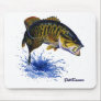 Smallmouth Bass leaping