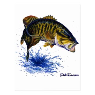 Smallmouth Bass leaping Postcard