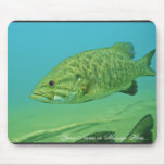 Smallmouth Bass Mouse Pads