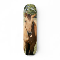 smart aleck horse skateboard