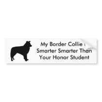 Smart Border Collie Bumper Sticker