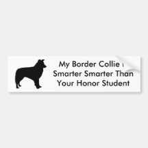 Smart Border Collie Bumper Sticker
