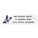 Smart Boston Terrier - Bumper Sticker bumpersticker