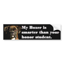 Smart boxer bumper sticker bumper stickers by ritmoboxer Smart boxer bumper sticker bumper stickers