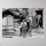 Smart Elephant Trick, 1910s Poster