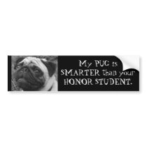Smart Pug bumper stickers by sigler08 Smart Pug bumper stickers