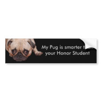 Smarter Pug Bumper Sticker bumper stickers by msphoto70 Smarter Pug Bumper Sticker bumper stickers