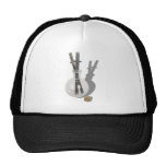 SmartPotion061210Shadows Hat
