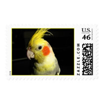 Smarty Bird Postage Stamps