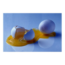 Smashed egg posters