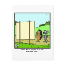 Smell a rat: Rat Cartoon Post Cards