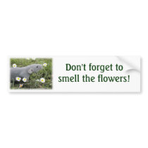 Smell the Flowers Bumper Sticker bumper stickers