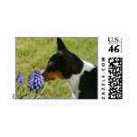 Smell The Flowers Postage