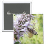 Smell The Flowers – Skipper Butterfly on Agastache Pin