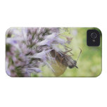 Smell The Flowers – Skipper Butterfly on Agastache iPhone 4 Case-Mate Cases