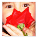 Smell the Roses posters