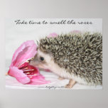 Smell the roses poster