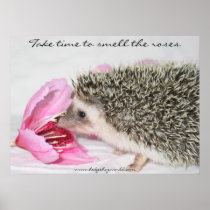 Smell the roses poster