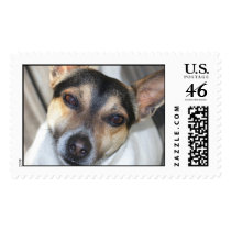Smiarowski retire. 013 postage by hurricanekmh Smiarowski retire. 013 postage