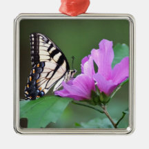 Smile and Say Butterfly!!! Ornament