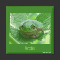 Smile, be happy  - green smiling frog magnet magnets