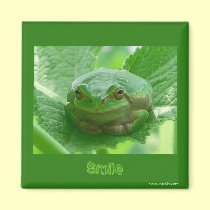 Smile, be happy  - green smiling frog magnet