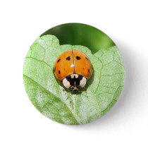 Smile! buttons