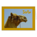 Smile cards by Rainmountain Smile cards
