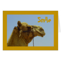 Smile cards