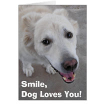 Smile, Dog Loves You! Card by talbotland Smile, Dog Loves You! Card