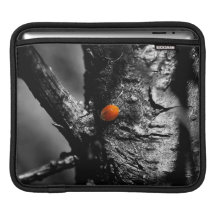smile for a ladybug sleeve for iPads
