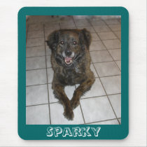 Smile For The Camera! mousepads
