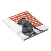 Smile For Us Midnight! Note Pad