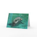 Smile for you by Gregory Gallo cards by poartry23 Smile for you by Gregory Gallo cards