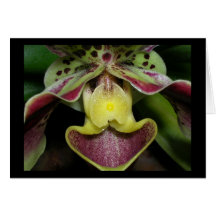Smile Greeting Card