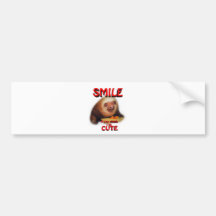 smile if you think i'm cute. bumper stickers