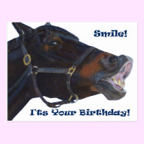 Smile!  It's Your Birthday! Horse postcards