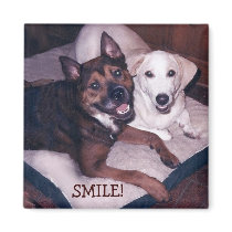 SMILE! magnets