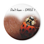 Smile Magnet magnets