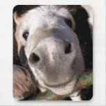 Smile! mousepads