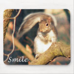 Smile Mr. Squirrel Mousepad
