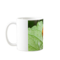 Smile! mugs