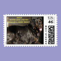 SMILE!MUTTS GIVE LOVE TOO RESCUE... stamps