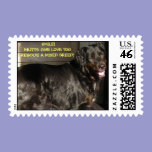 SMILE!MUTTS GIVE LOVE TOO RESCUE... postage