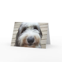 Smile Old English Sheepdog Card