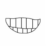 SMILE ! - ornament Photo Cut Outs