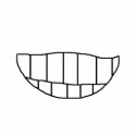 SMILE ! - ornament photo sculptures