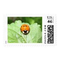 Smile! postage