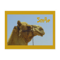 Smile postcards
