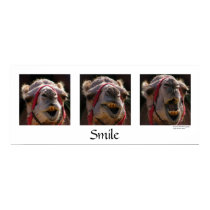 Smile posters by Bensterama42 Smile posters